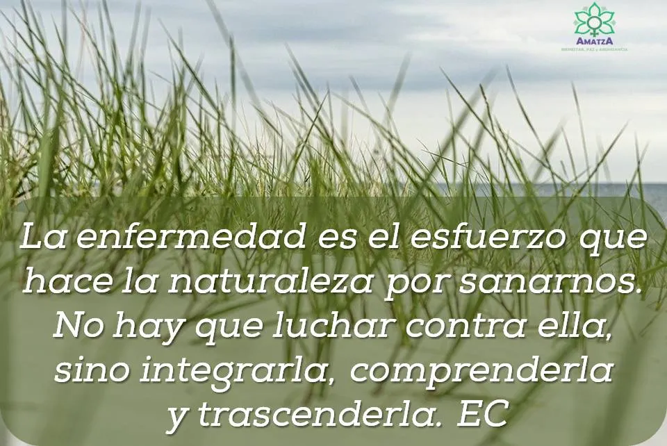 Entendiendo la enfermedad como oportunidad